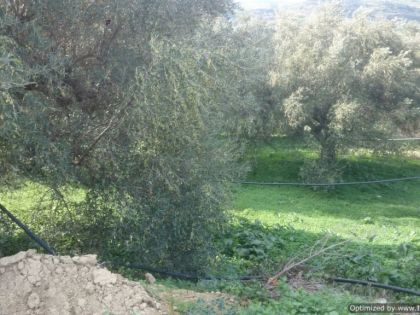 αγγελία