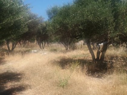 αγγελία