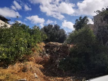 αγγελία