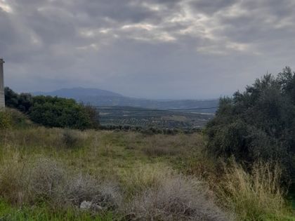 αγγελία