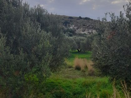 αγγελία