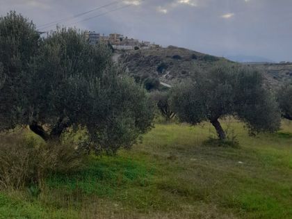αγγελία