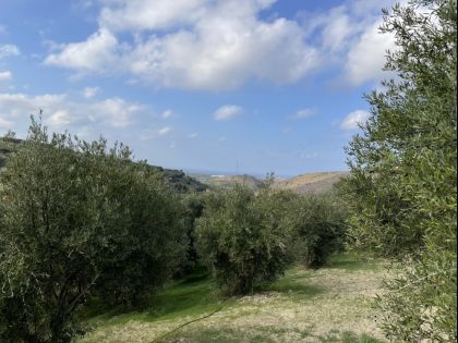 αγγελία