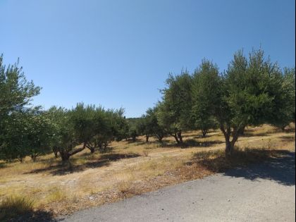 αγγελία