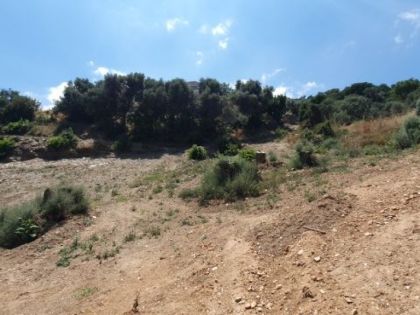 αγγελία