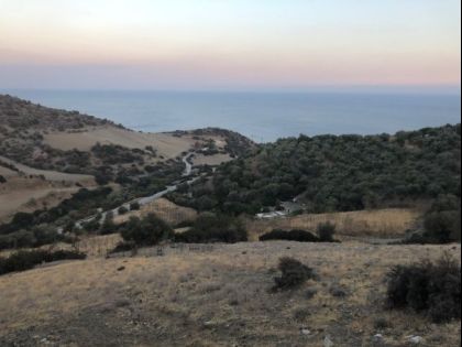 αγγελία