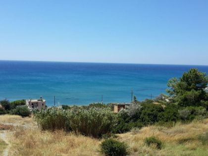 αγγελία