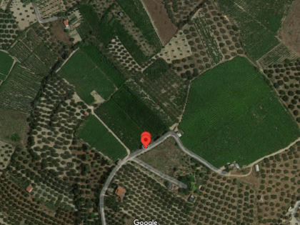 αγγελία