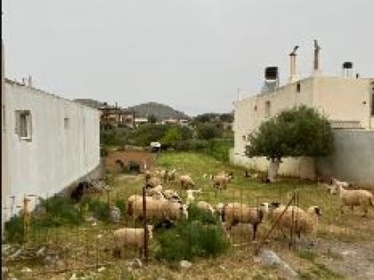 αγγελία