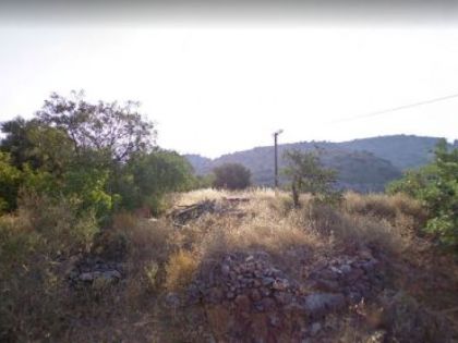 αγγελία