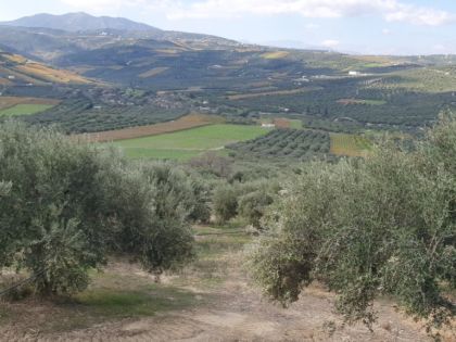 αγγελία