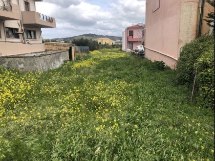 ΑΡΧΑΝΕΣ ΑΝΩ 