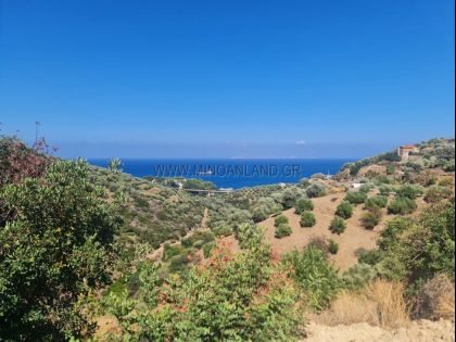 ΡΟΔΙΑ