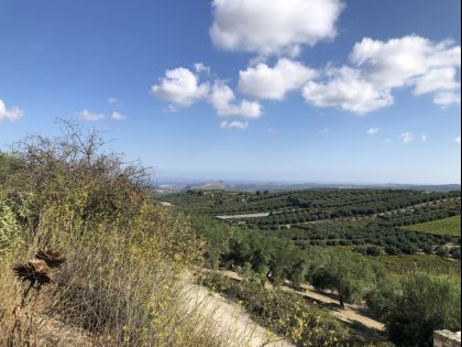 ΚΟΥΝΑΒΟΙ