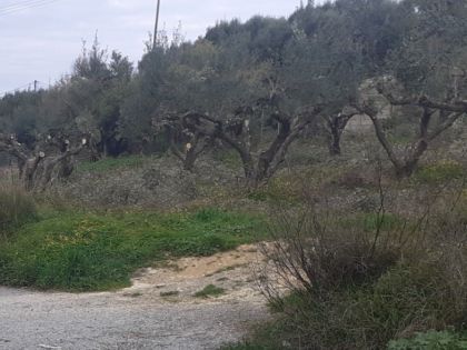 ΜΕΣΑΜΠΕΛΙΕΣ