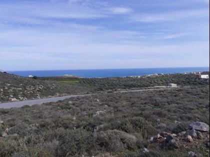ΚΟΚΚΙΝΗ ΧΑΝΙ