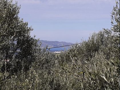 ΑΘΑΝΑΤΟΙ