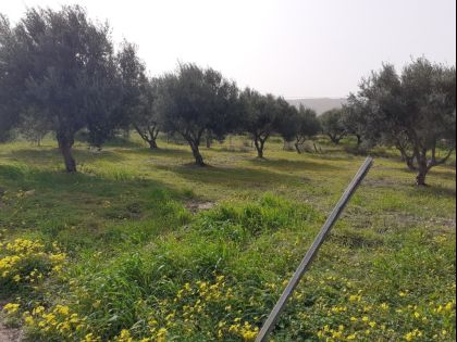 ΓΟΥΡΝΕΣ