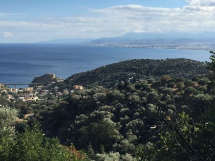 ΡΟΔΙΑ