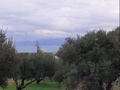 ΧΕΡΣΟΝΗΣΟΣ