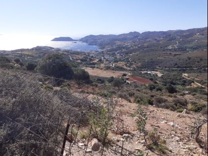ΑΓΙΑ ΠΕΛΑΓΙΑ