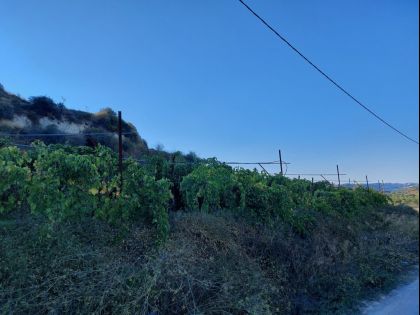 ΠΑΓΝΗ