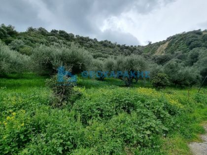 ΕΟ ΗΡΑΚΛΕΙΟΥ-ΜΟΙΡΩΝ