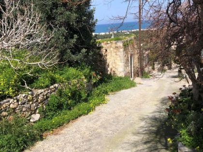 ΜΙΛΑΤΟΣ