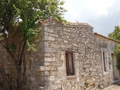ΚΟΥΝΑΒΟΙ ΜΟΝΟΚΑΤΟΙΚΙΑ