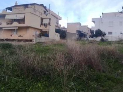 ΜΕΣΑΜΠΕΛΙΕΣ