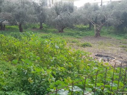ΜΕΣΑΜΠΕΛΙΕΣ