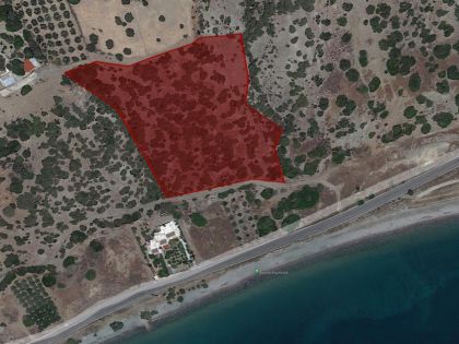 ΔΕΡΜΑΤΟΣ