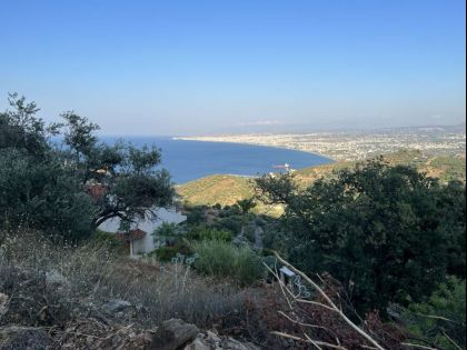 ΡΟΔΙΑ