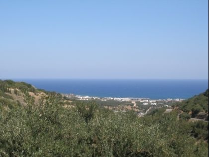 αγγελία