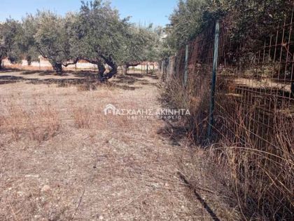 ΧΕΡΣΟΝΗΣΟΣ