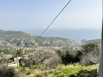 αγγελία