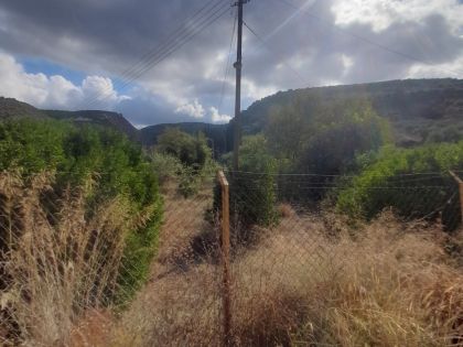 αγγελία