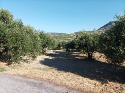 ΒΑΣΙΛΕΙΕΣ: