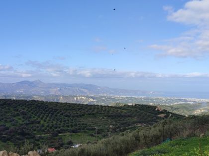 αγγελία