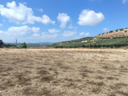 αγγελία