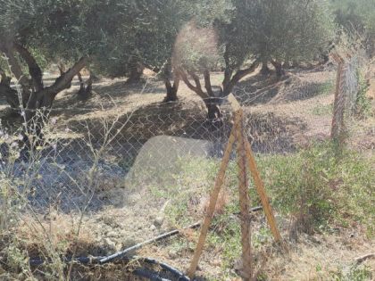 αγγελία