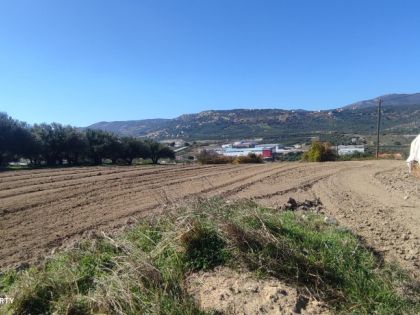 αγγελία