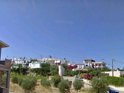 ΠΙΣΚΟΚΕΦΑΛΟ
