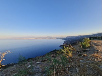 ΛΥΓΑΡΙΑ