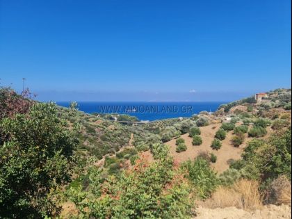 αγγελία