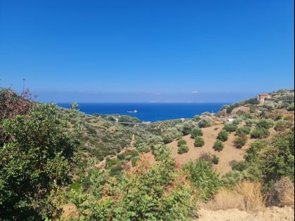 αγγελία
