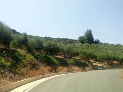ΤΣΑΓΚΑΡΑΚΙ