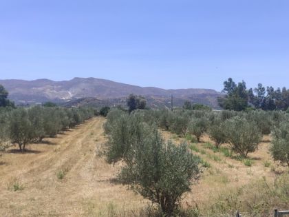 ΤΥΜΠΑΚΙ