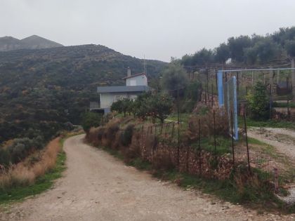 ΦΟΔΕΛΕ