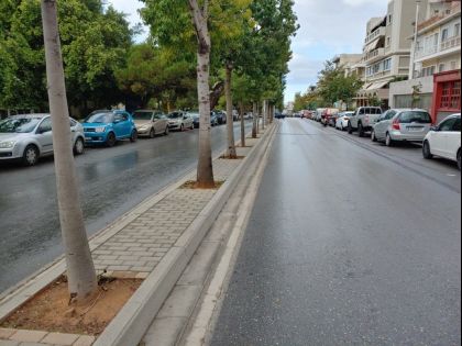 ΤΡΙΑ ΠΕΥΚΑ